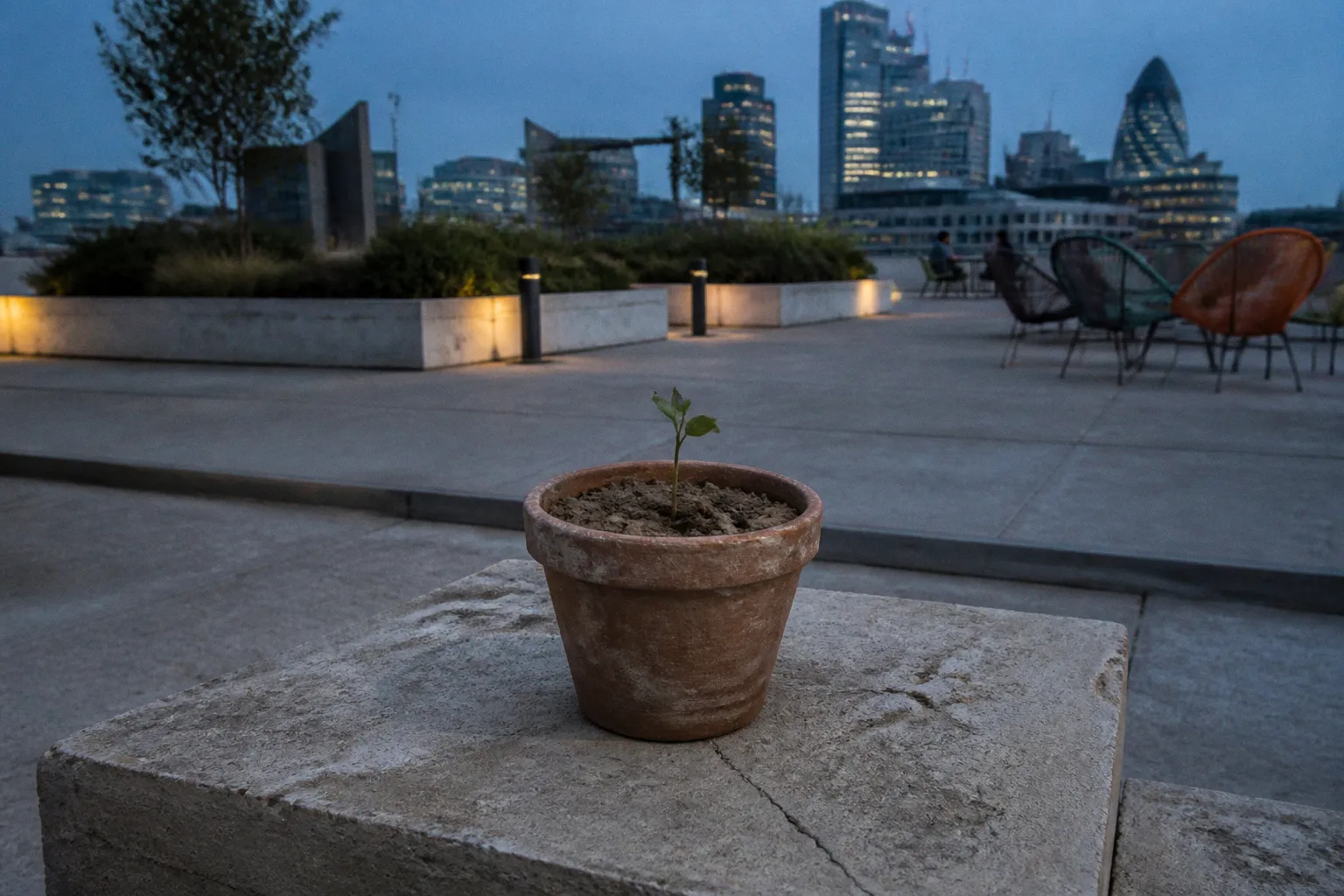 Climate founder burnout: a 5-minute daily reset routine