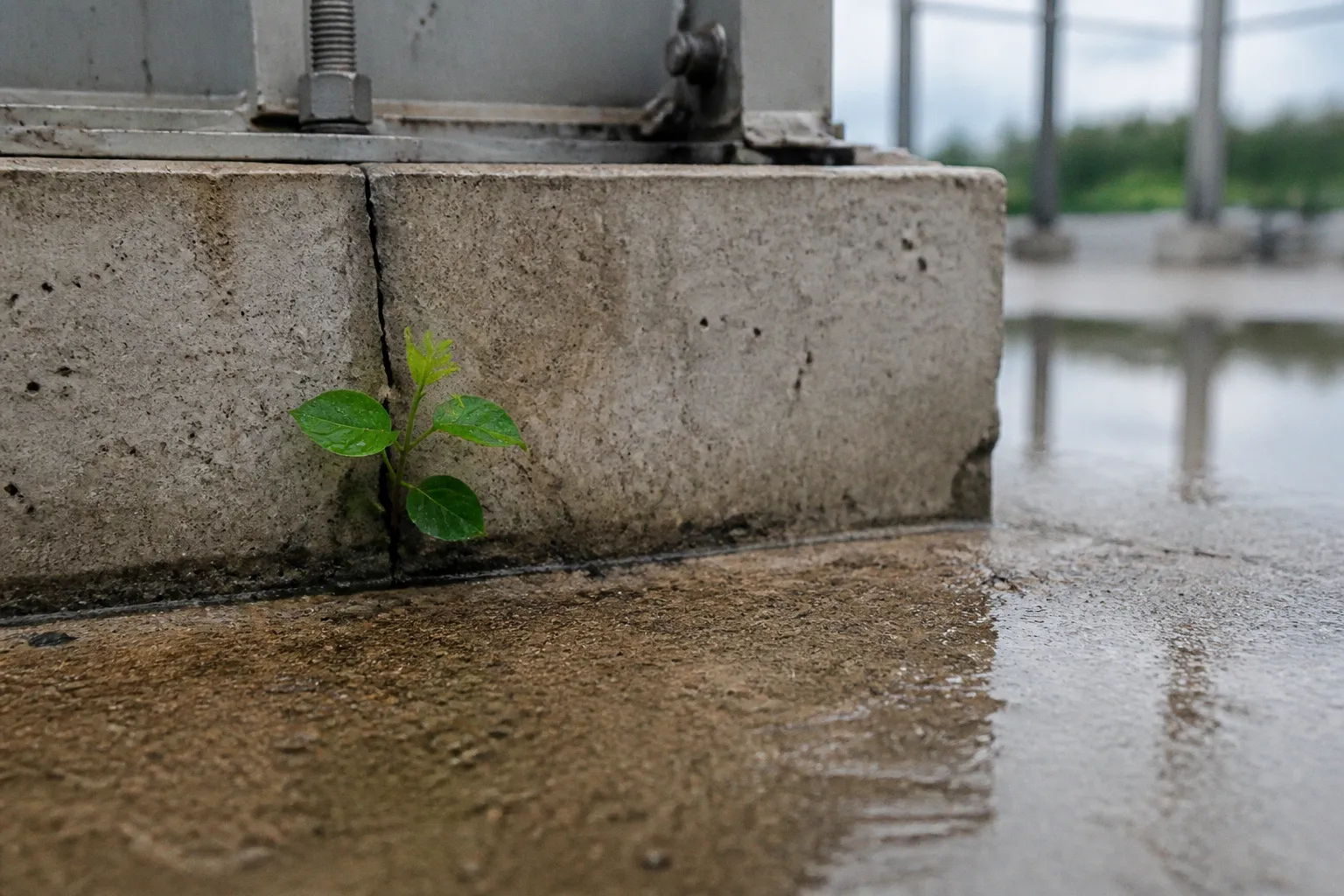 Climate startup validation: 5 ways to avoid early failure