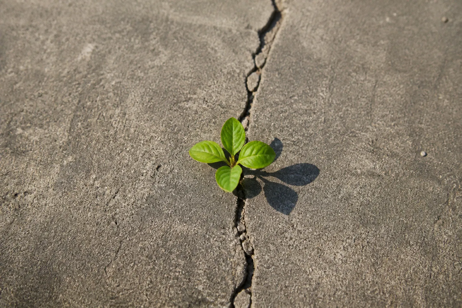 Climate tech idea screening: the 10-minute viability test