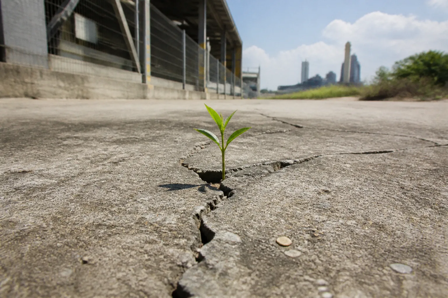 First 50 climate customers: a pipeline building plan