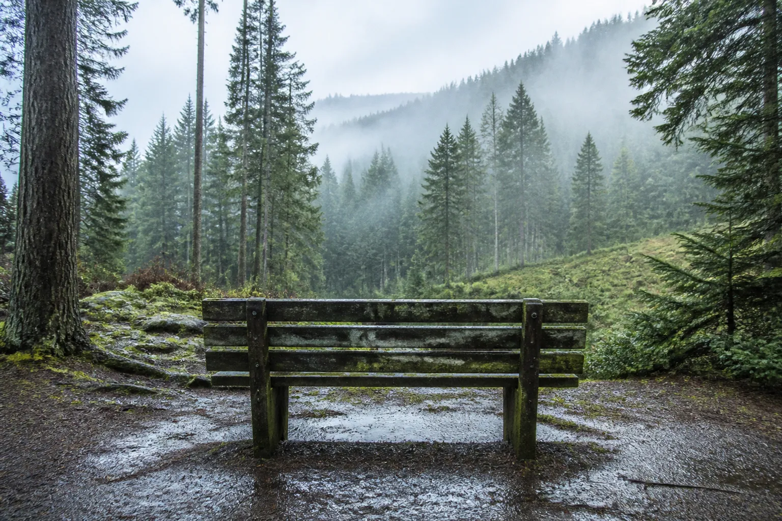 Founder mental health leave: a four-stage sabbatical plan