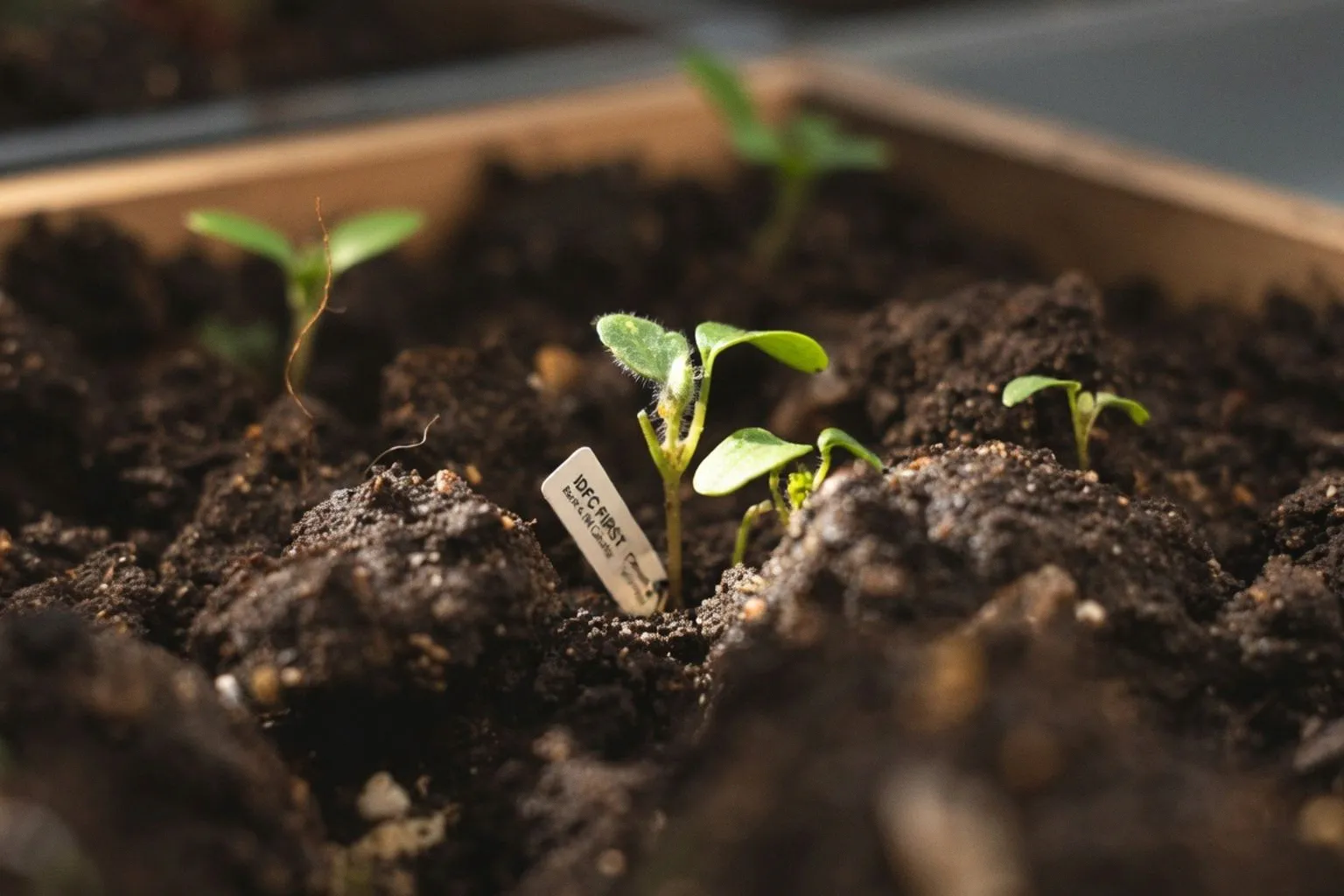 IDFC FIRST Bank and IIM Calcutta Unveil 2 Crore Incubation Fund for Climate Ventures