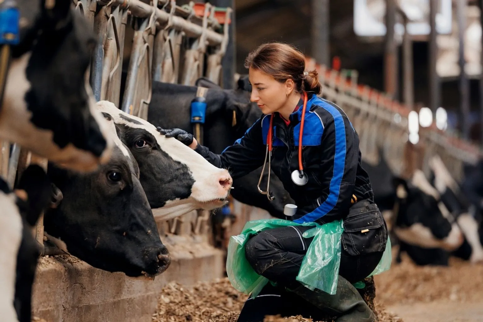 Why Rural Women Entrepreneurs Struggle to Secure Sustainable Business Funding